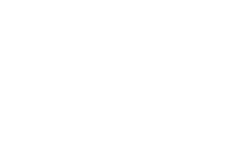 Logo Solior Ltda – Cliente empresarial asesorado por Romero & Asociados en La Guajira